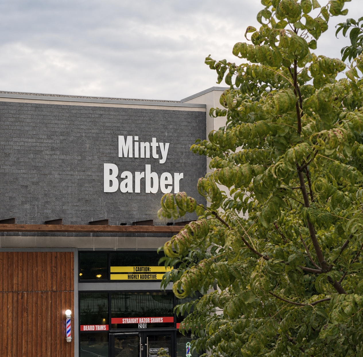 Minty Barber storefront framed by a leafy tree